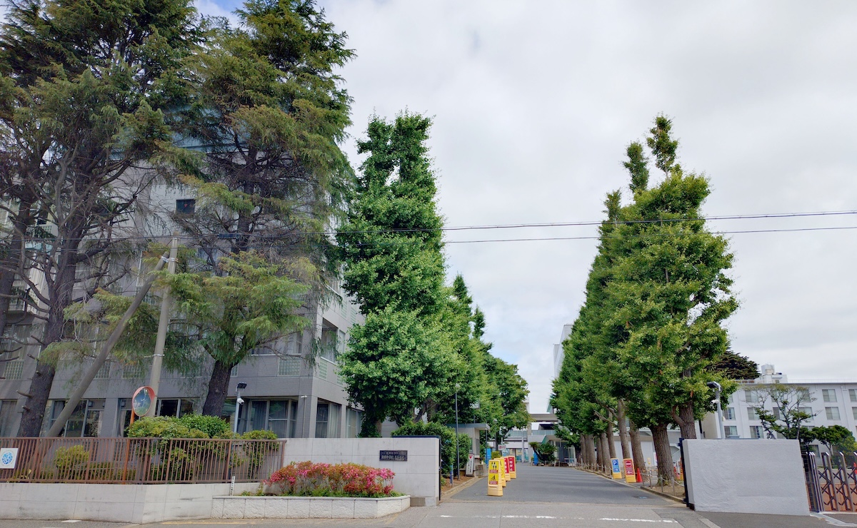 東邦大学付属東邦高等学校